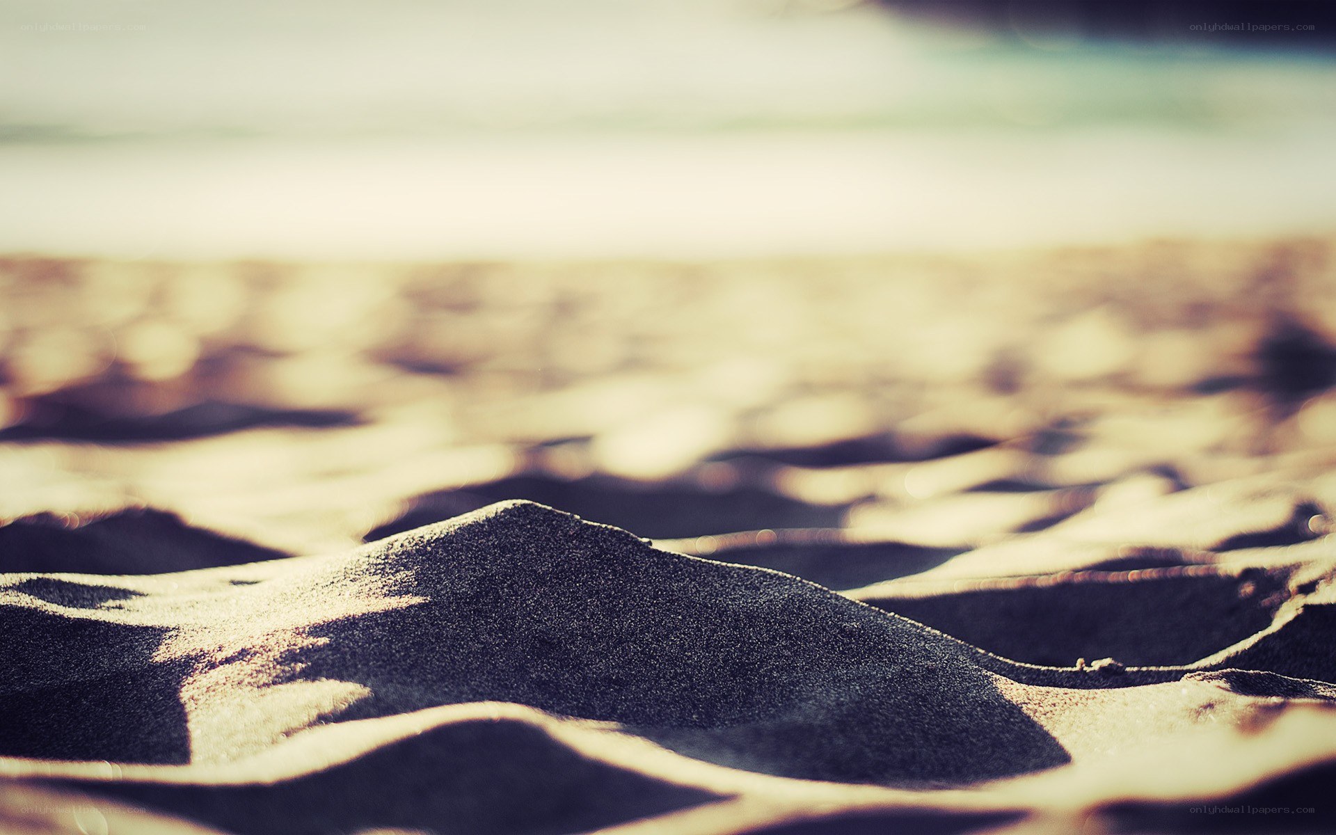 sand dunes at the beach