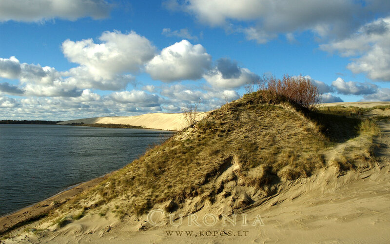 Sand Dunes by Lake — Blue, Serene, Afternoon