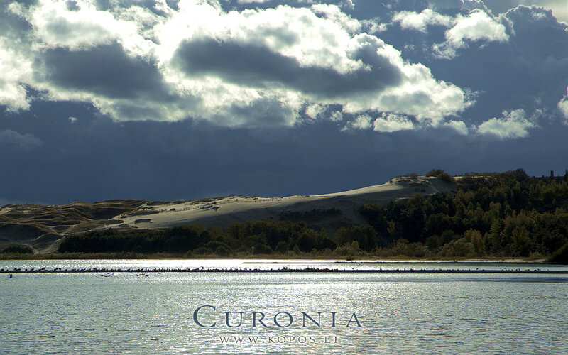 Sand Dunes by Lake