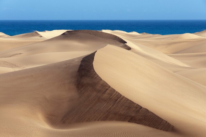 Sand Dunes by Ocean — Beige