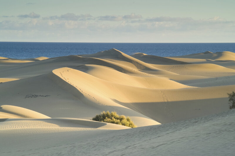 Sand Dunes by Ocean