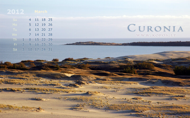 Sand Dunes by Sea