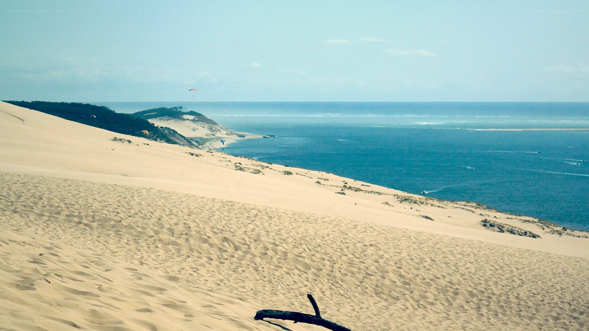 sand dunes by the ocean