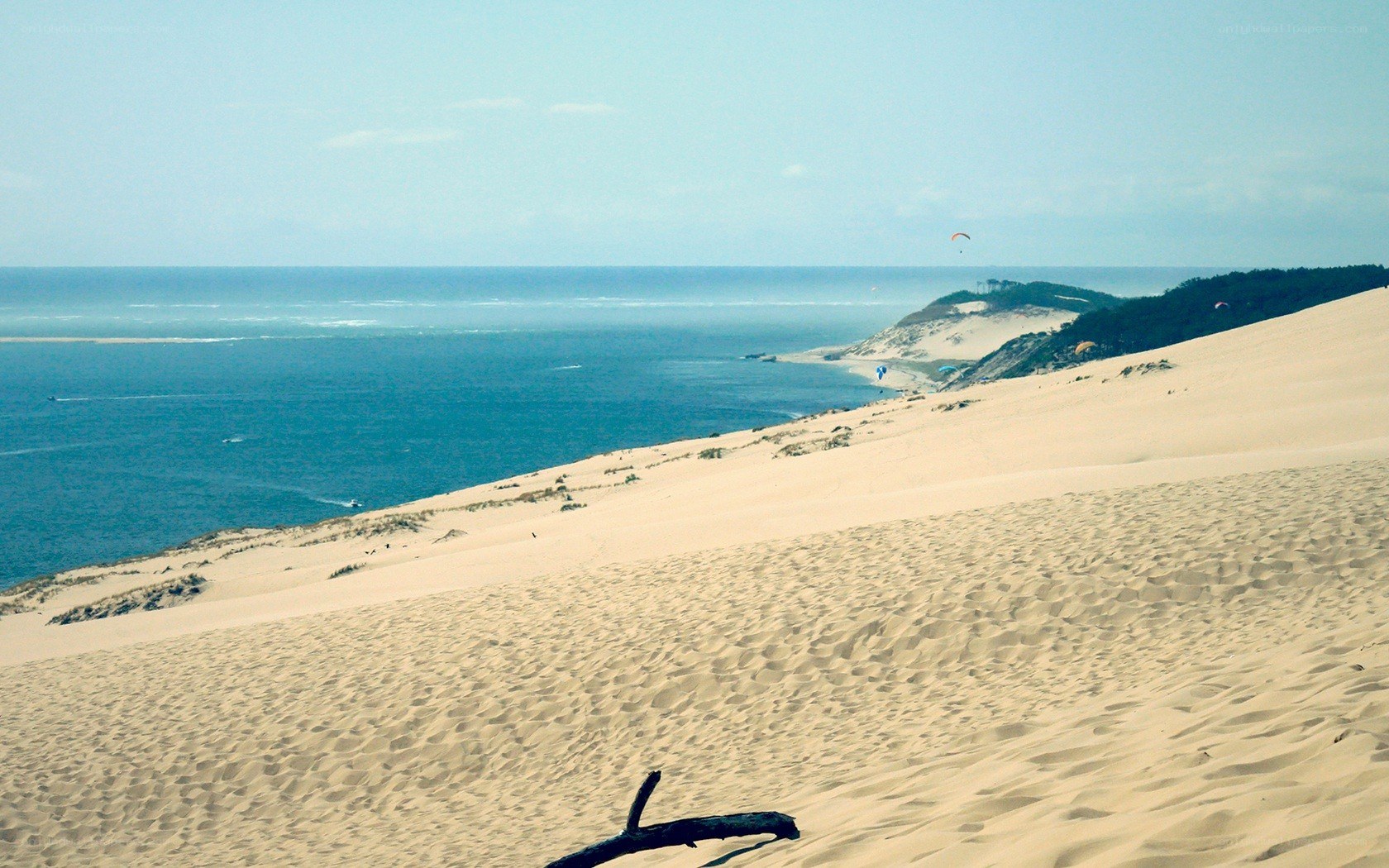 Sand dunes by the ocean