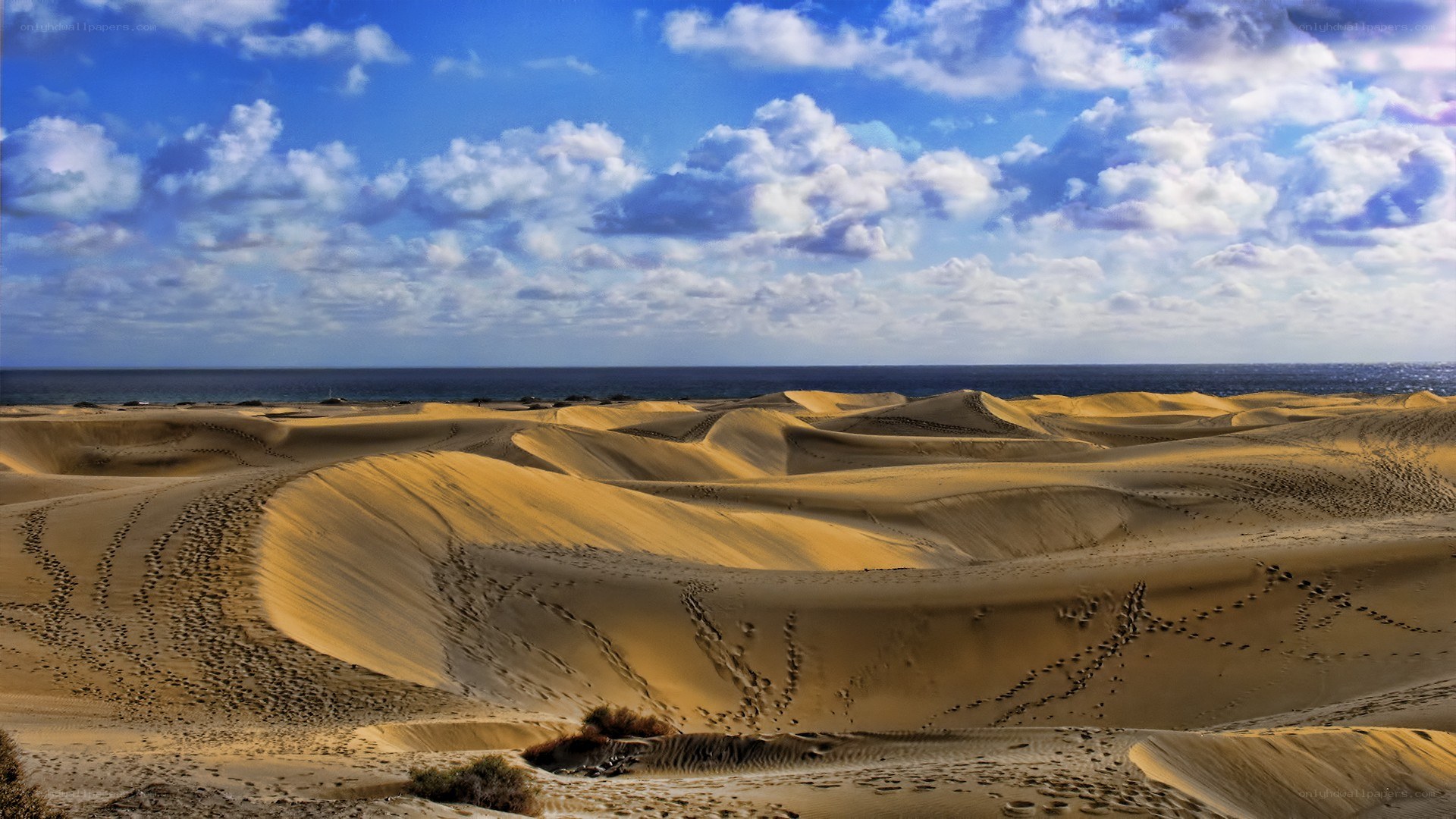 Sand dunes by the ocean