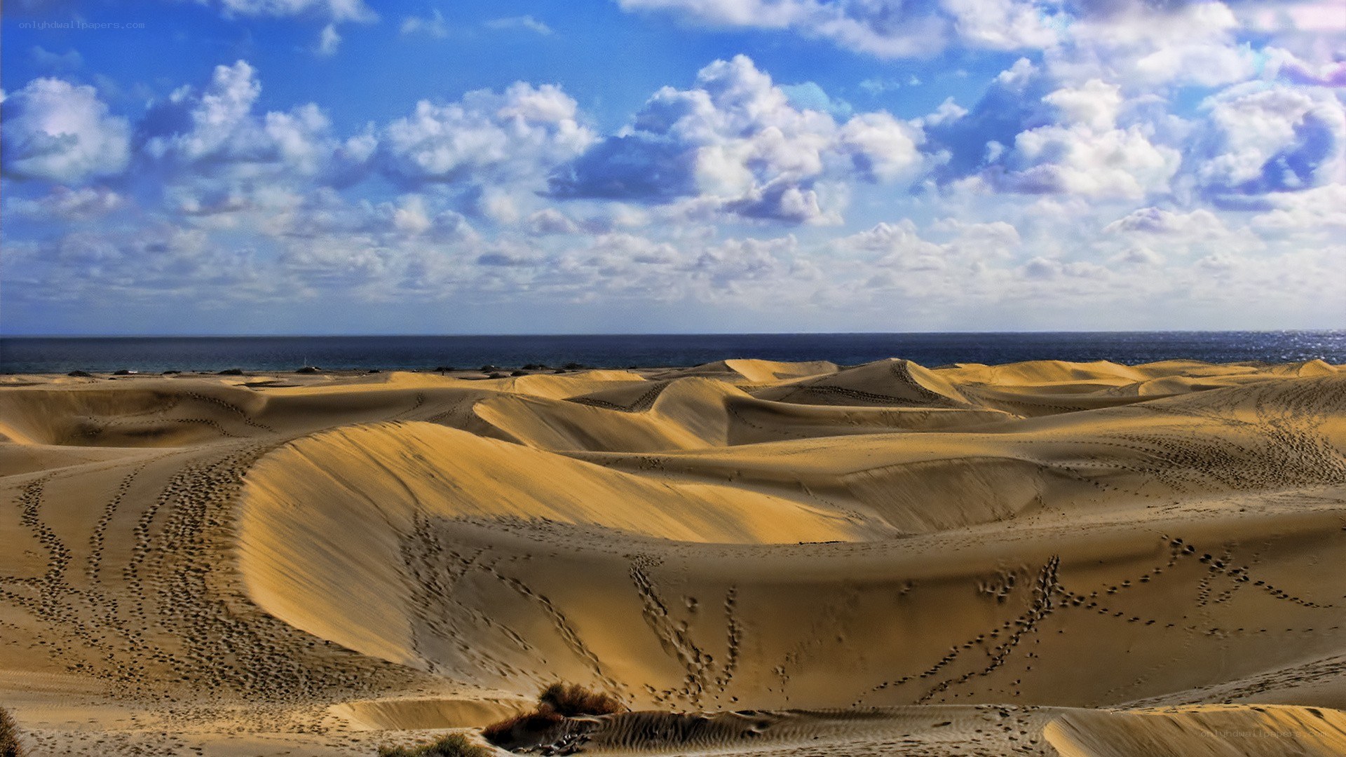 Sand dunes by the ocean