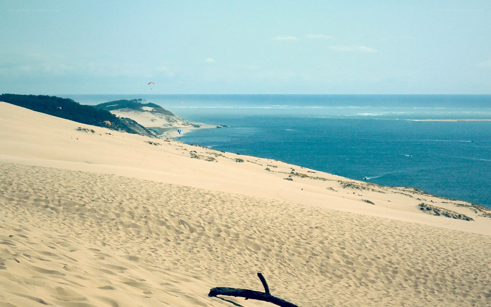 Sand dunes by the ocean