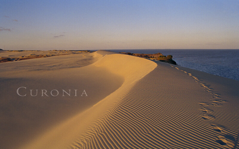 Sand Dunes by the Sea — Beige