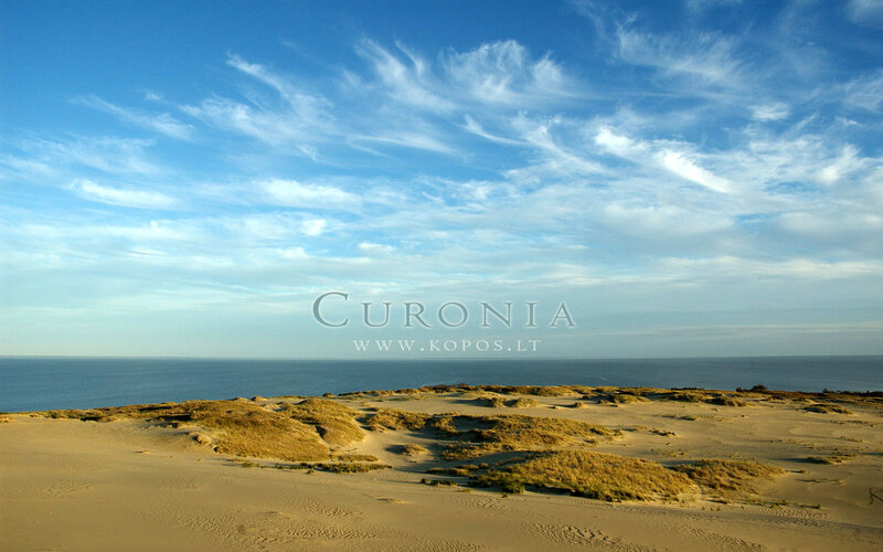 Sand Dunes by the Sea — Blue