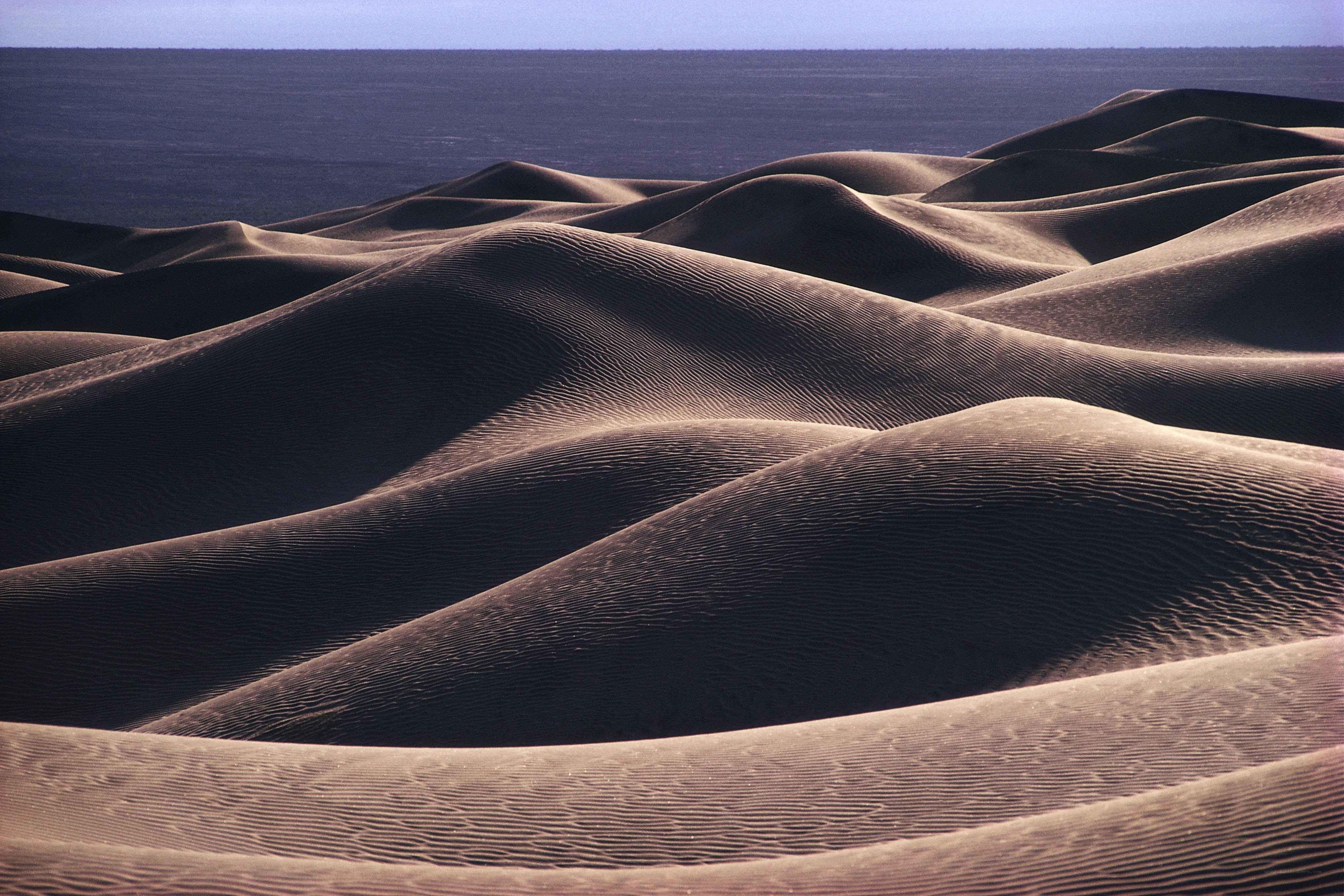 Sand dunes by the sea