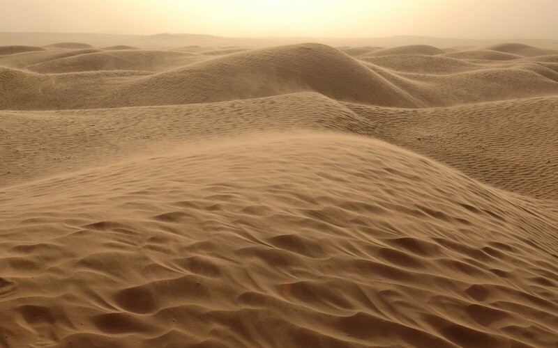 sand dunes in a desert