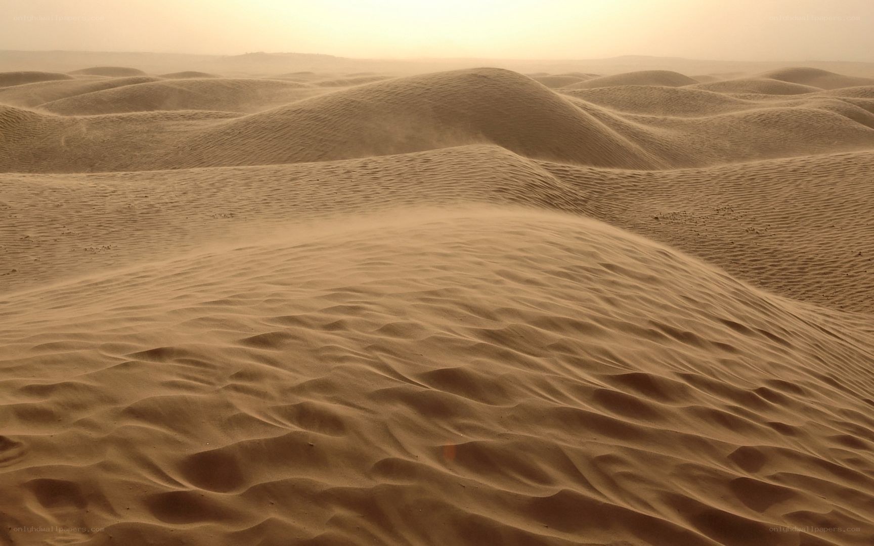 sand dunes in a desert