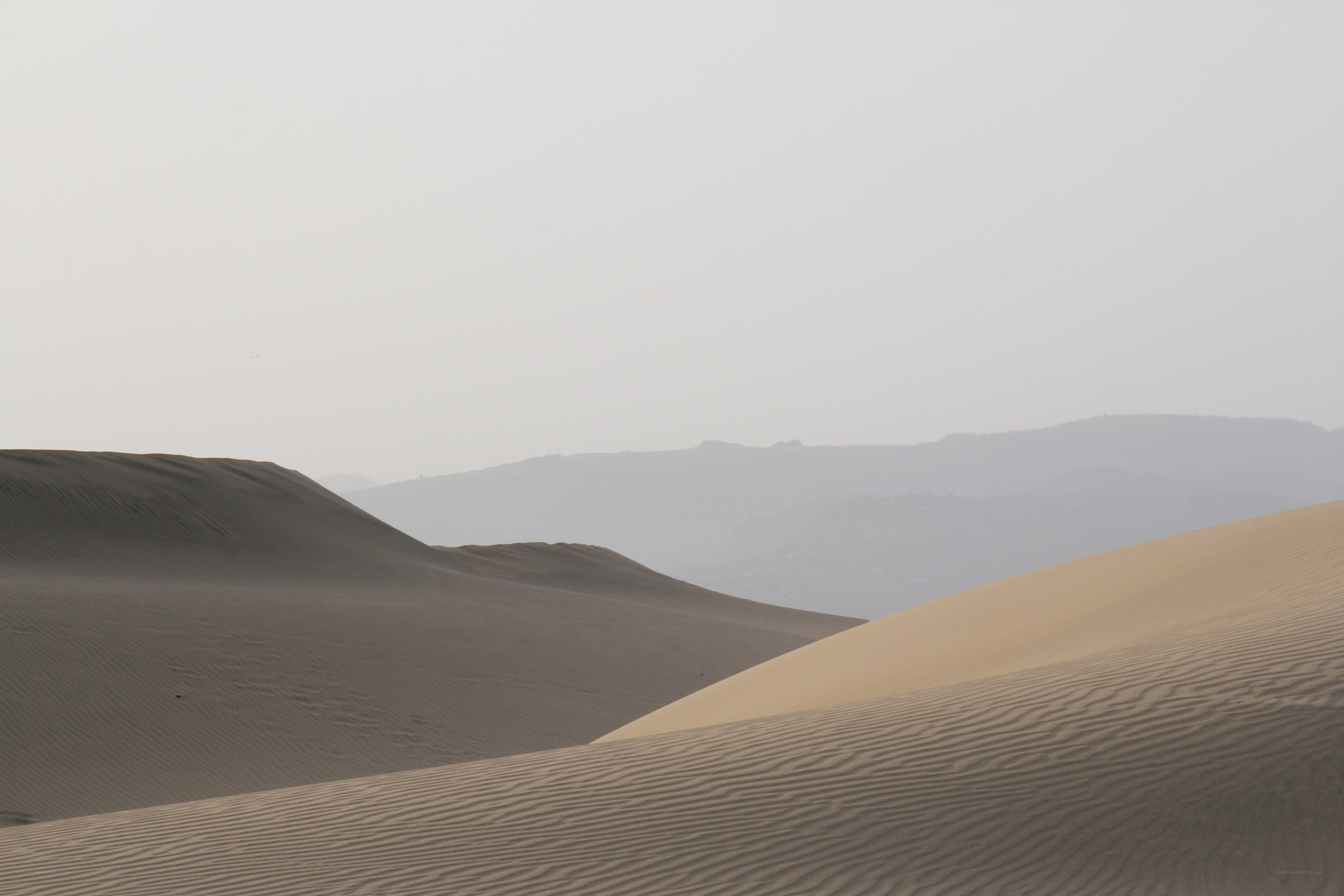 sand dunes in a desert