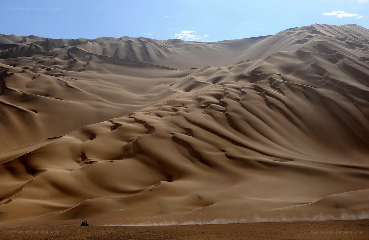 Sand dunes in a desert