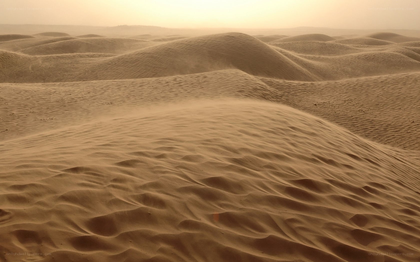 sand dunes in a desert
