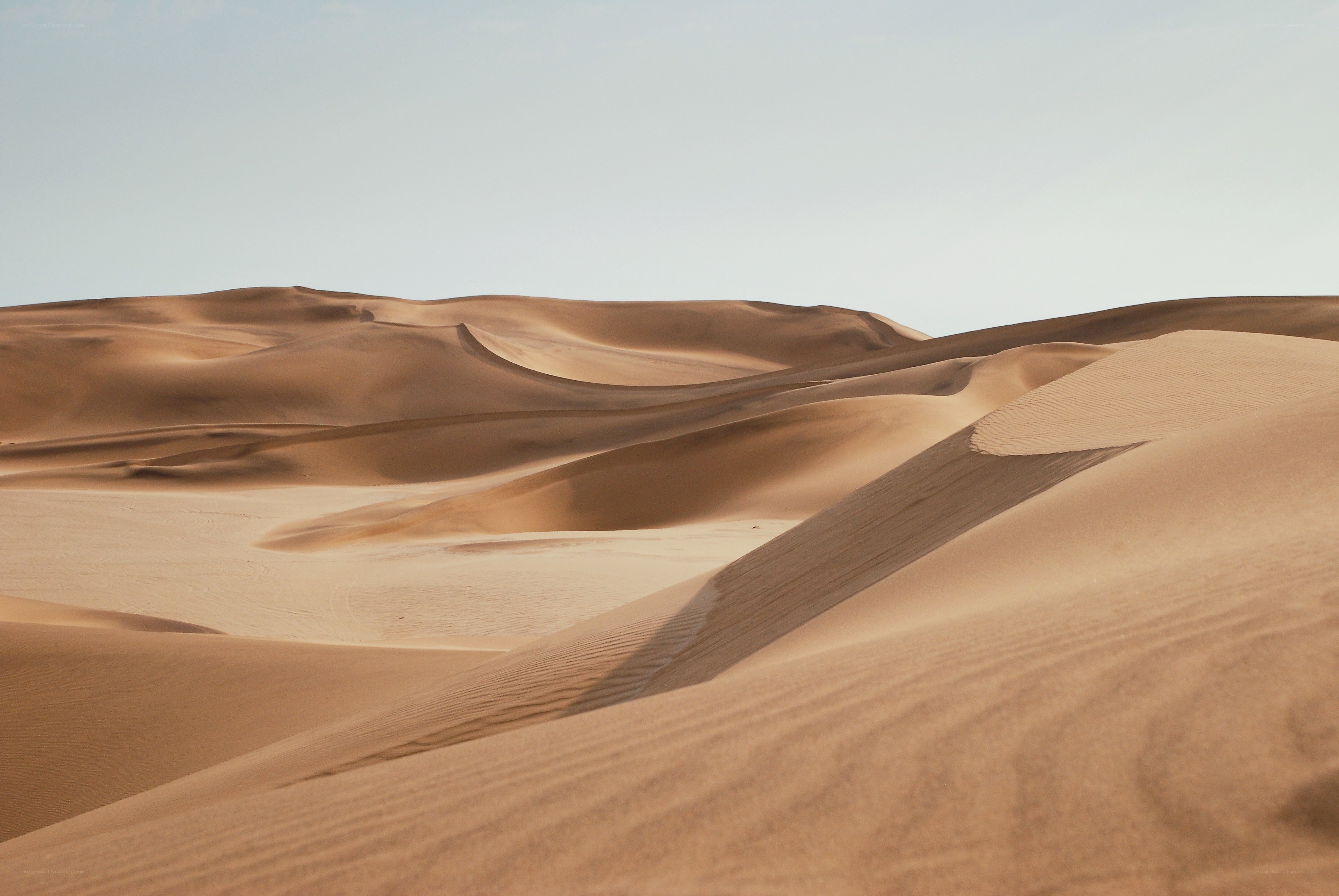 sand dunes in a desert