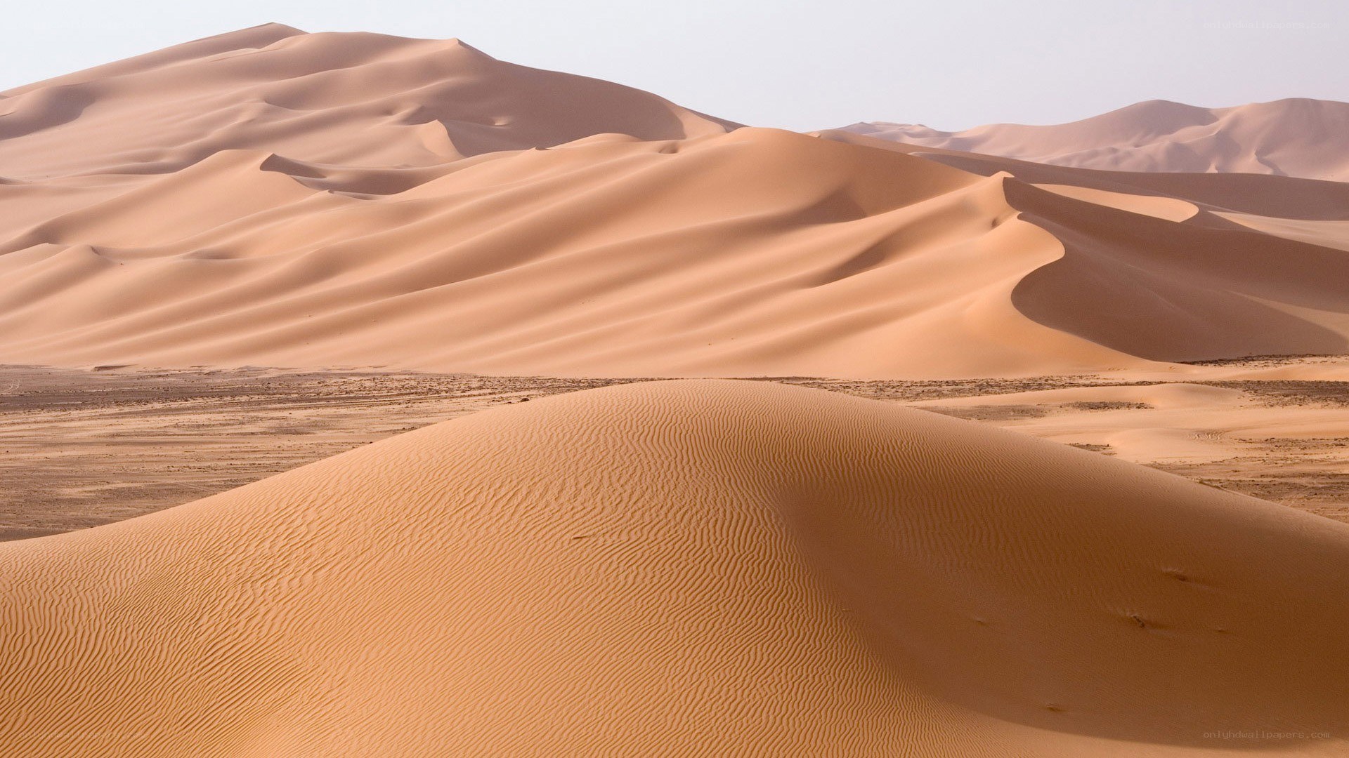 sand dunes in a desert