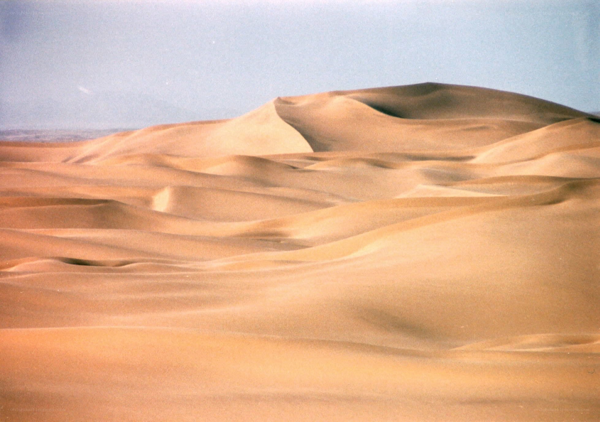 sand dunes in a desert
