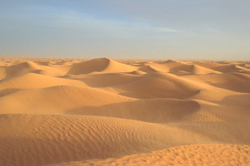 sand dunes in a desert