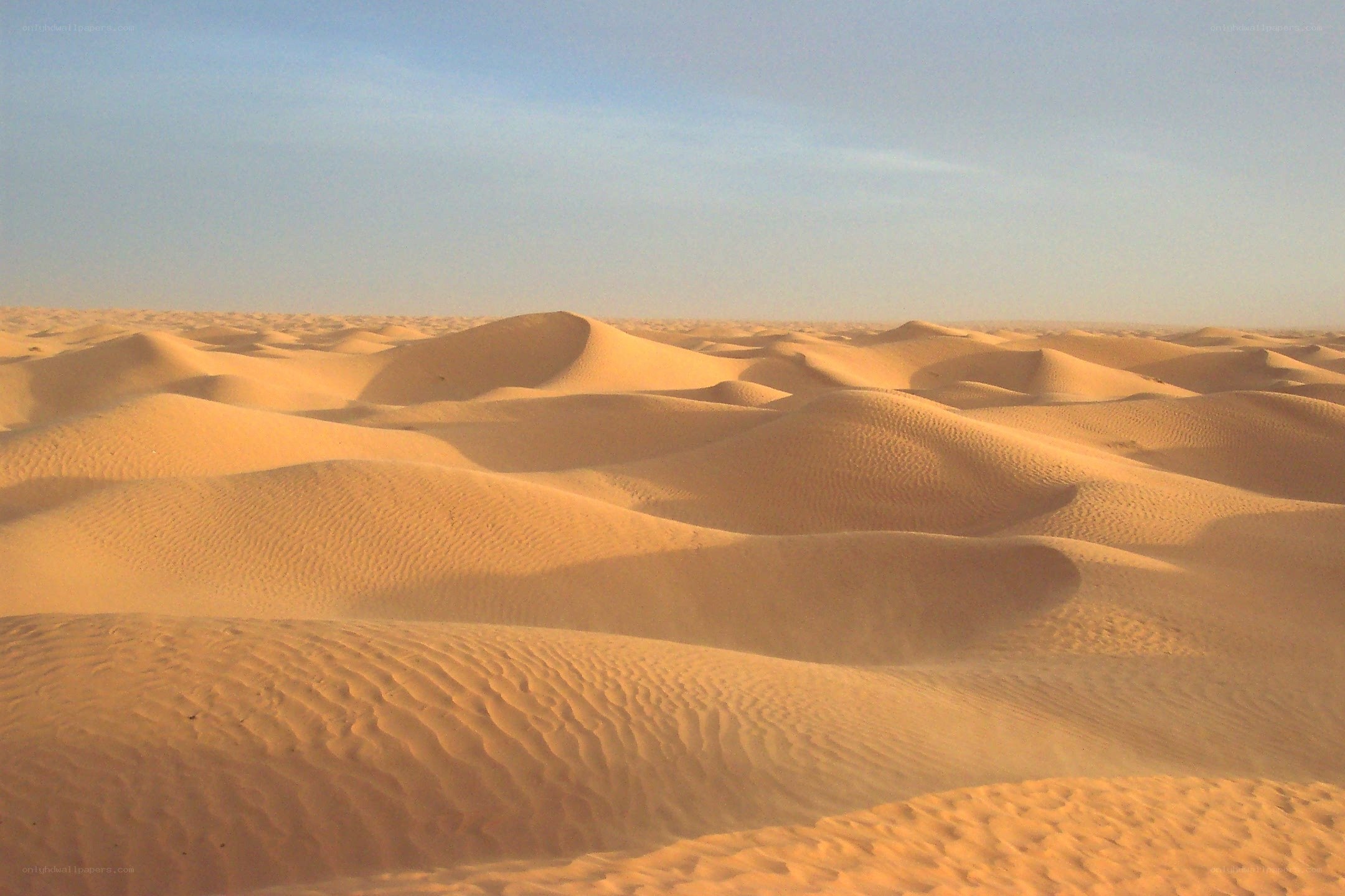 sand dunes in a desert