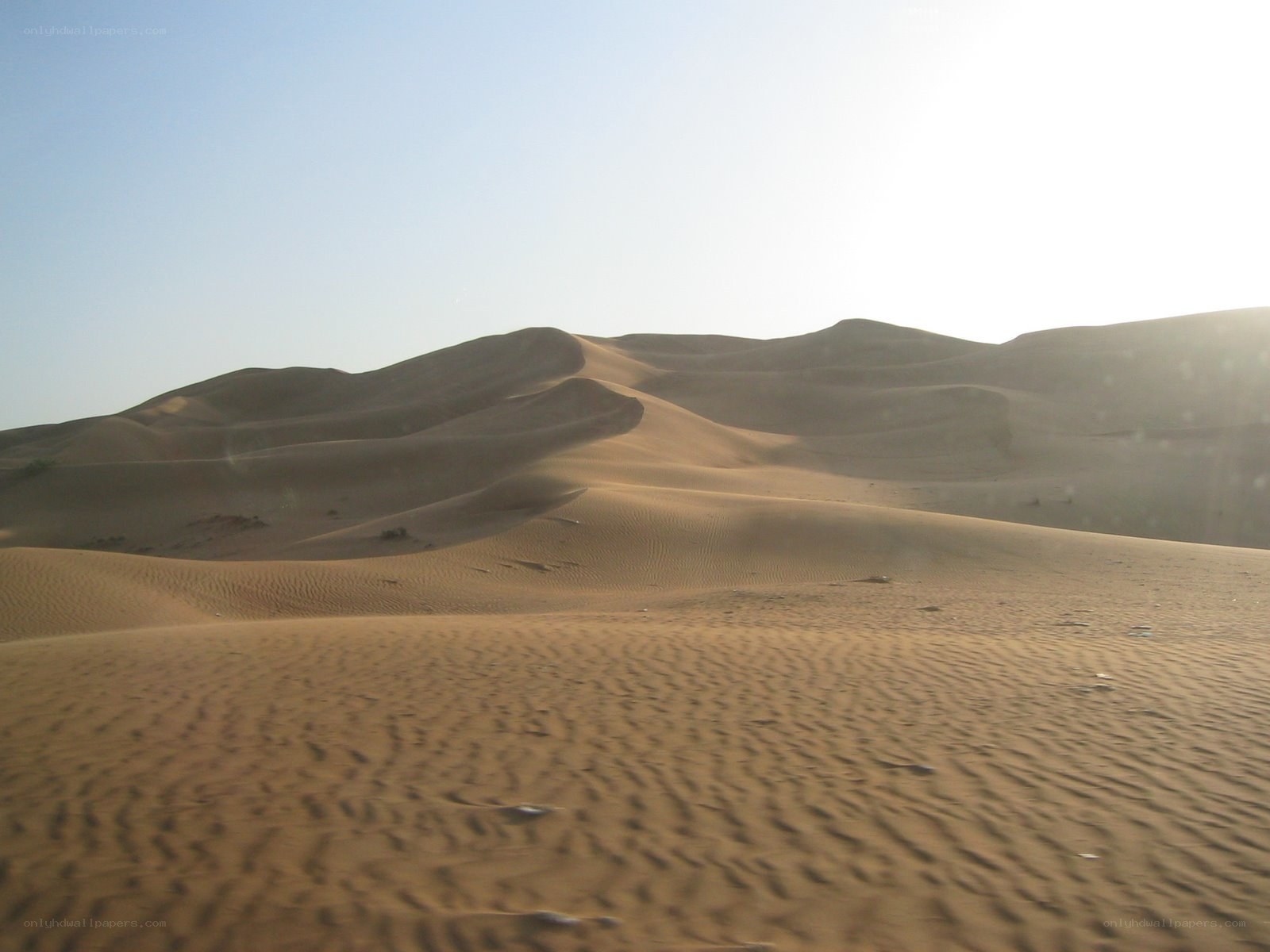 sand dunes in a desert