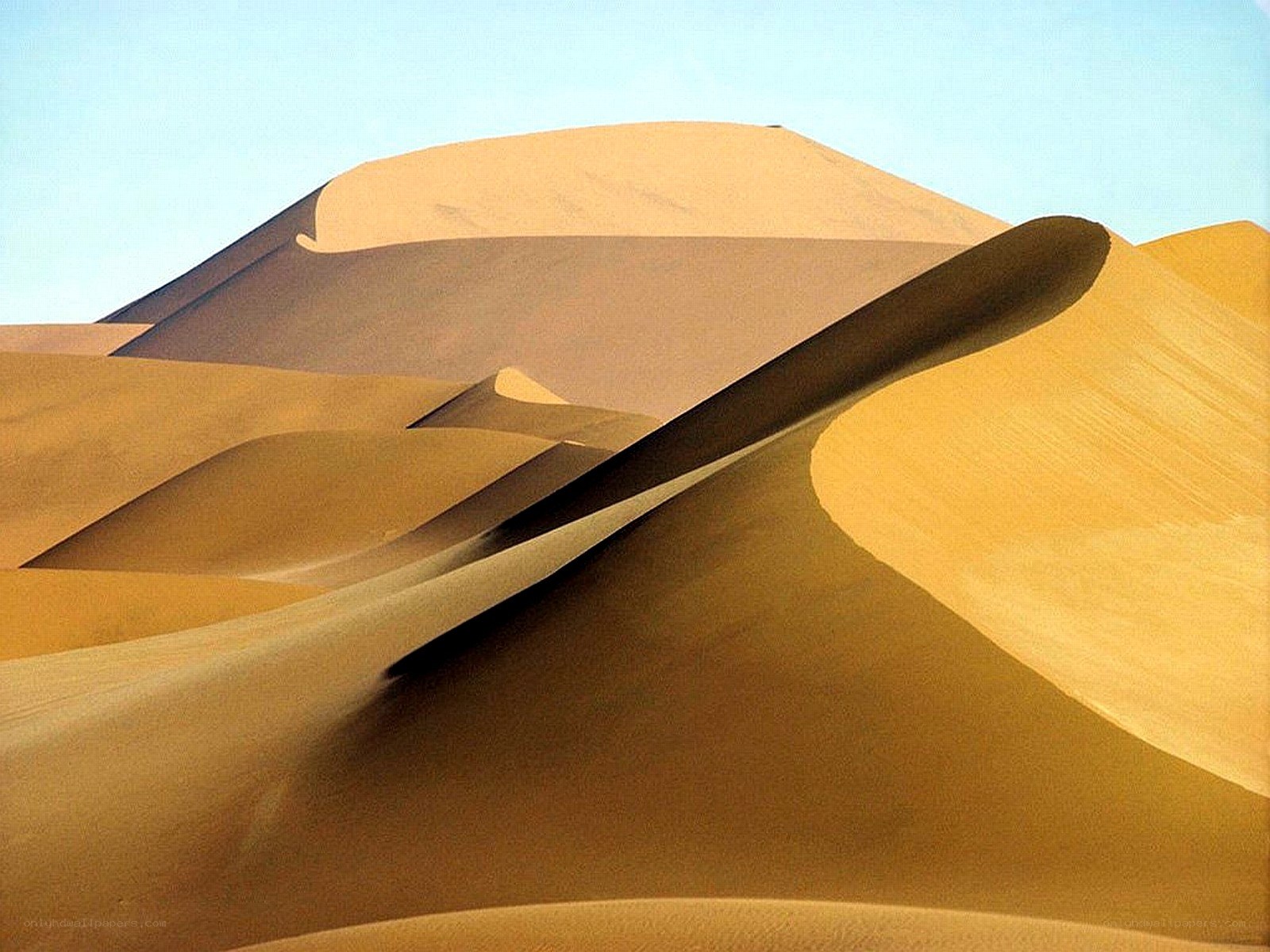 Sand dunes in a desert
