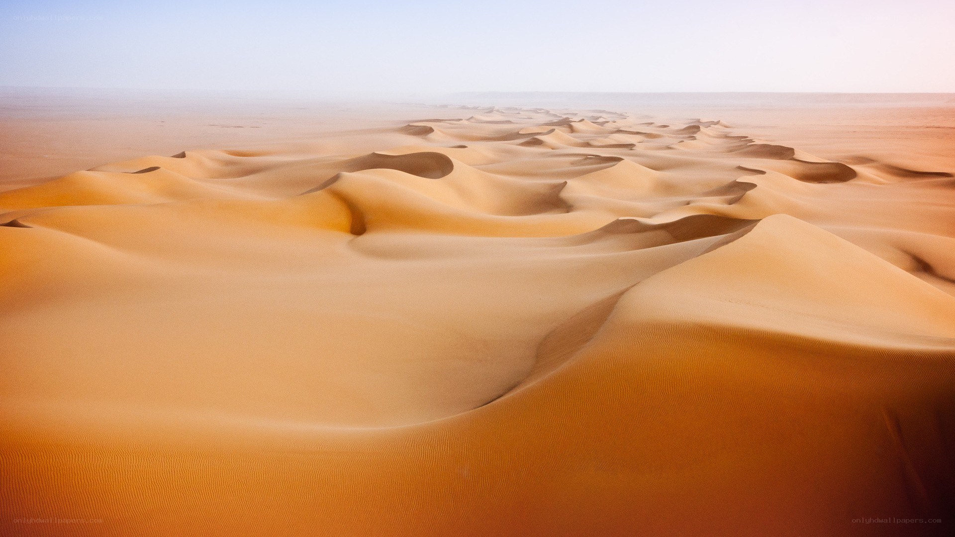 sand dunes in a desert