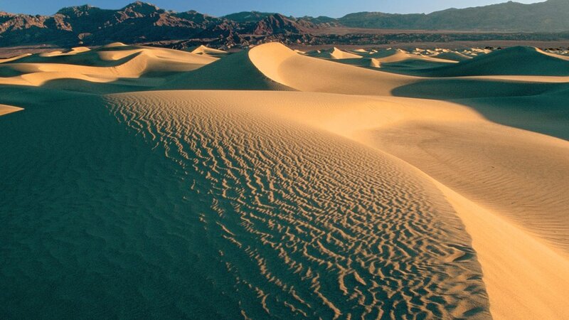 Sand dunes in a desert landscape