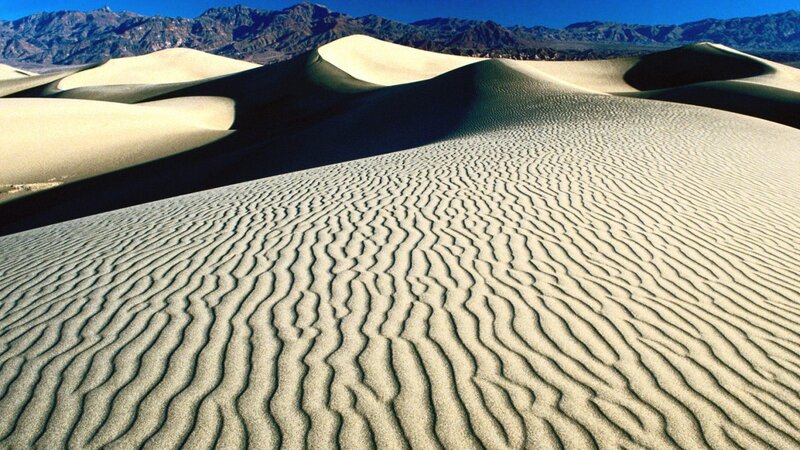 Sand dunes in a desert landscape