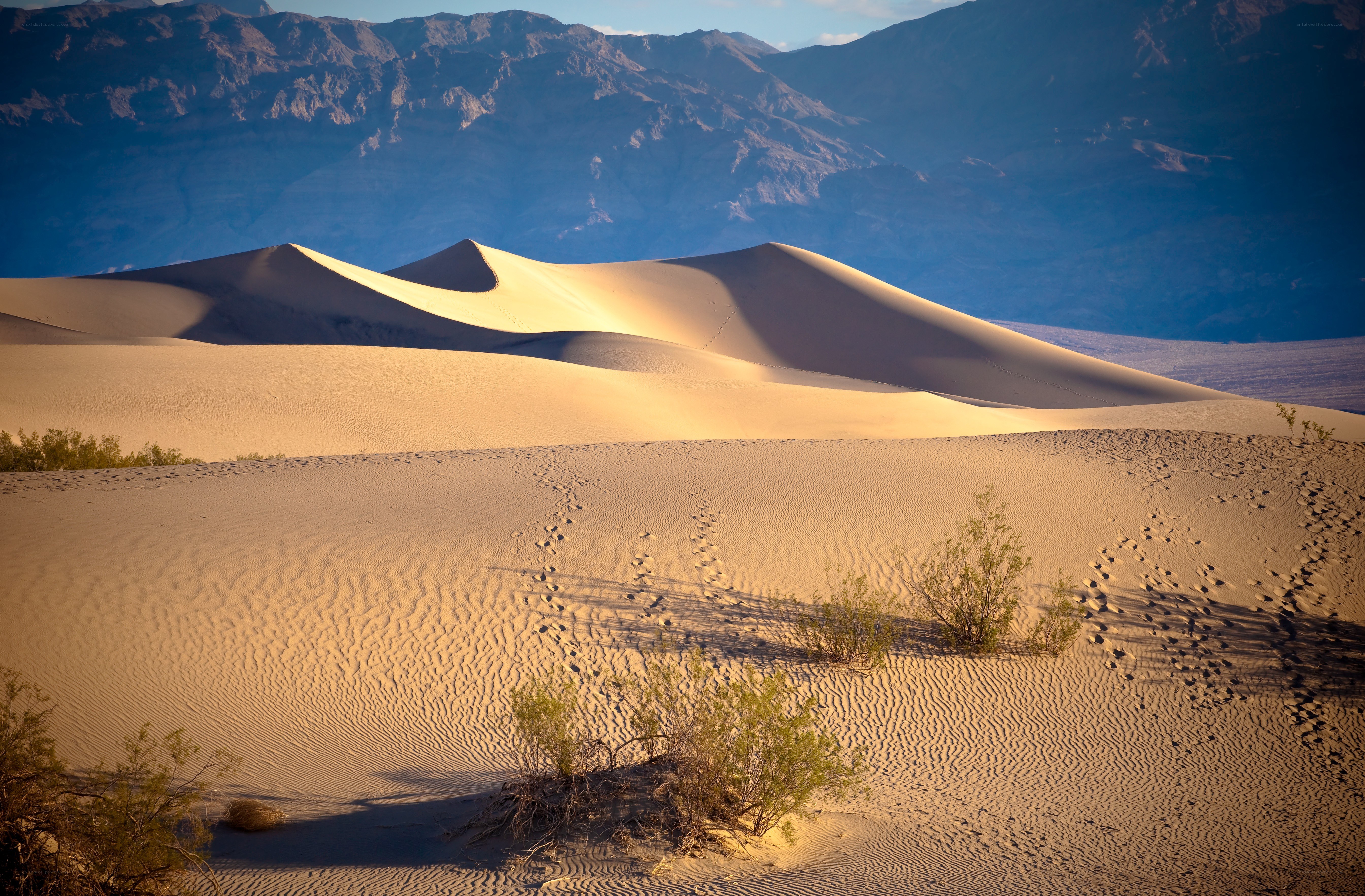 Sand dunes in a desert landscape