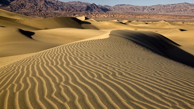 Sand dunes in a desert landscape