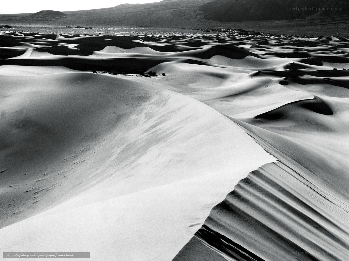 Sand dunes in a desert
