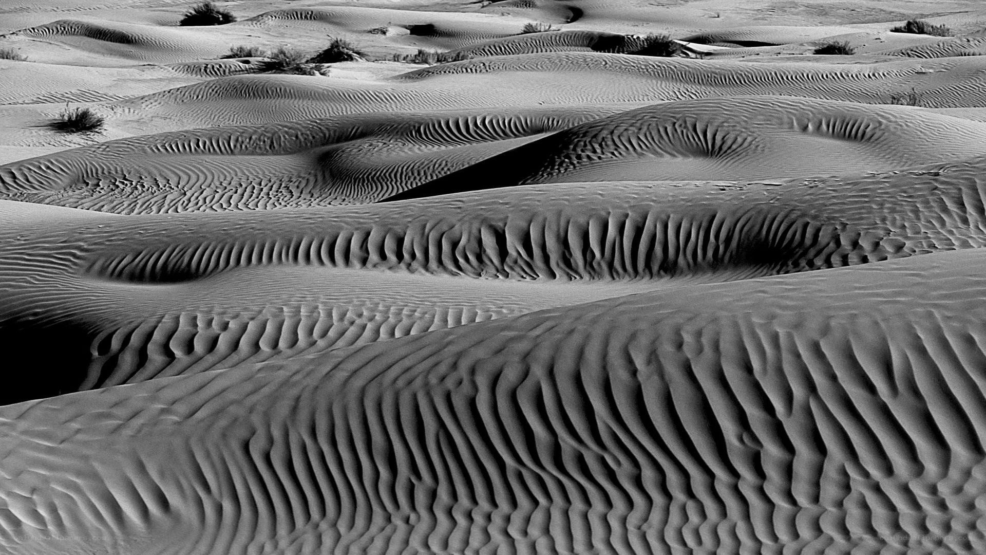 Sand dunes in black and white