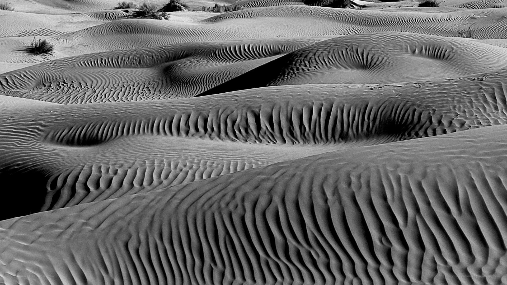 Sand dunes in black and white