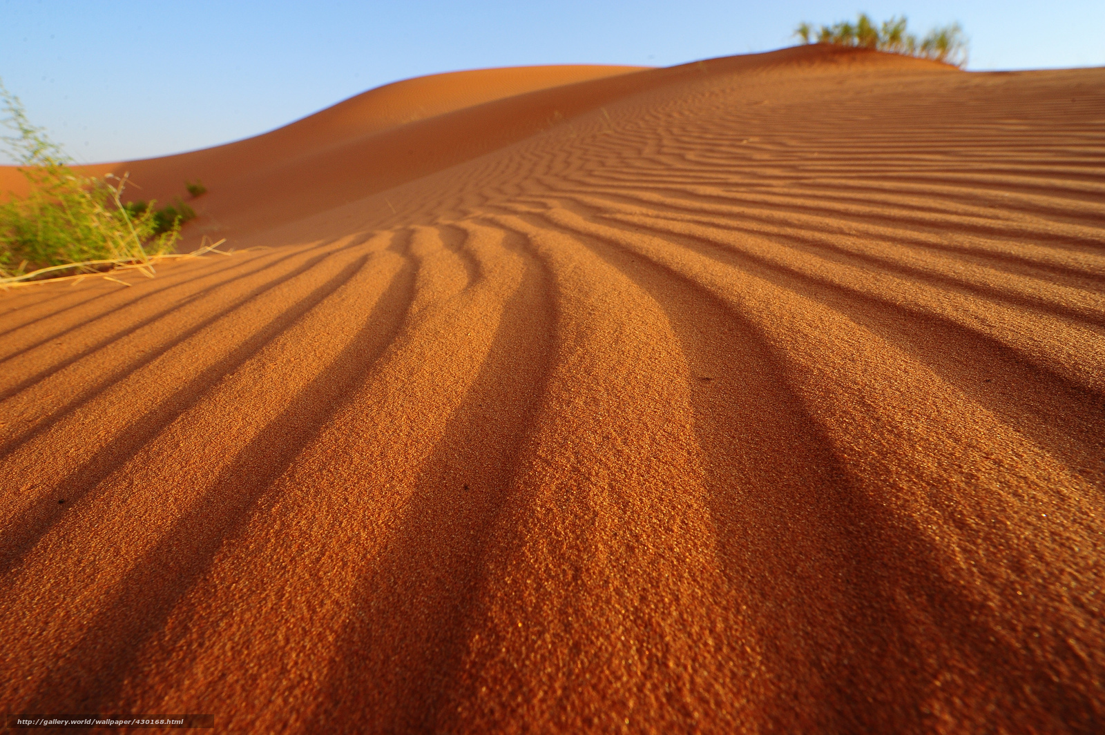 sand dunes in desert