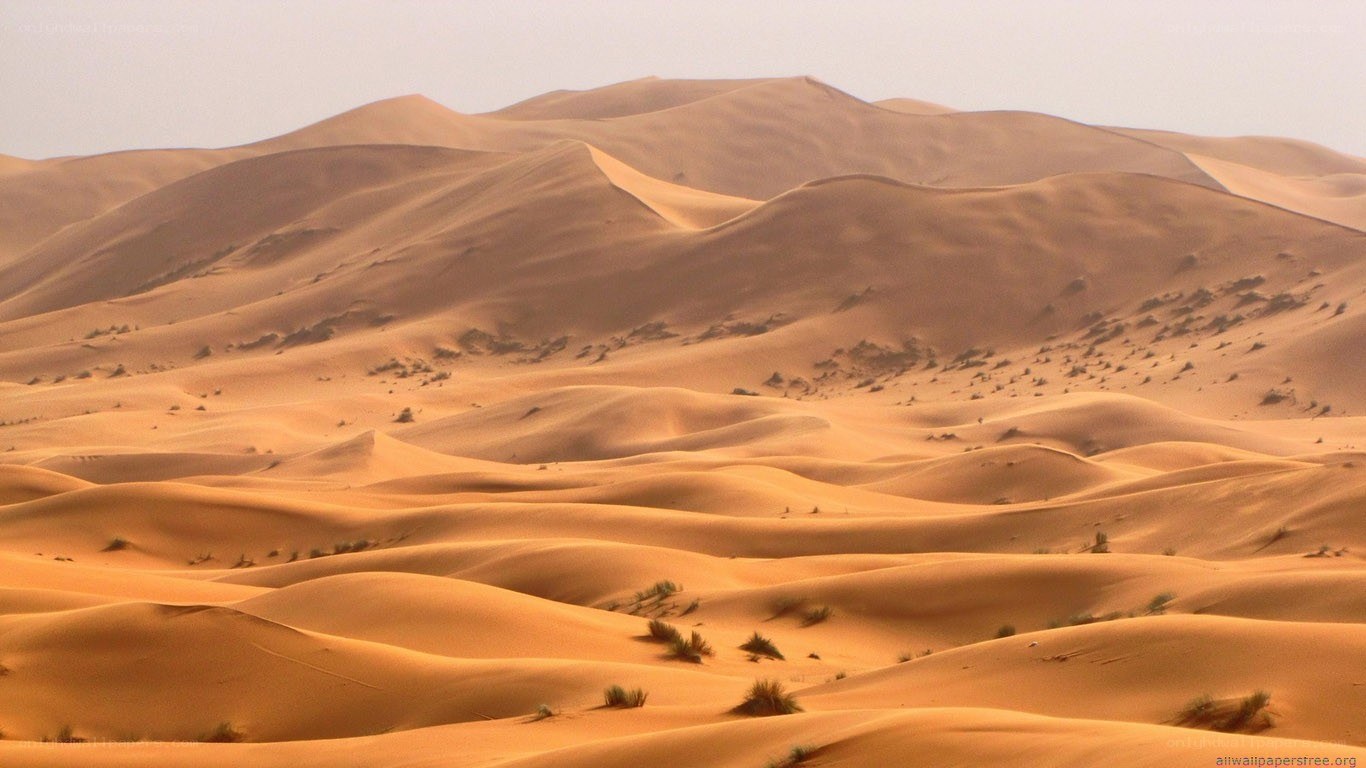 sand dunes in desert