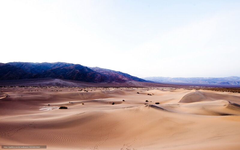 Sand Dunes in Desert — Beige, Arid