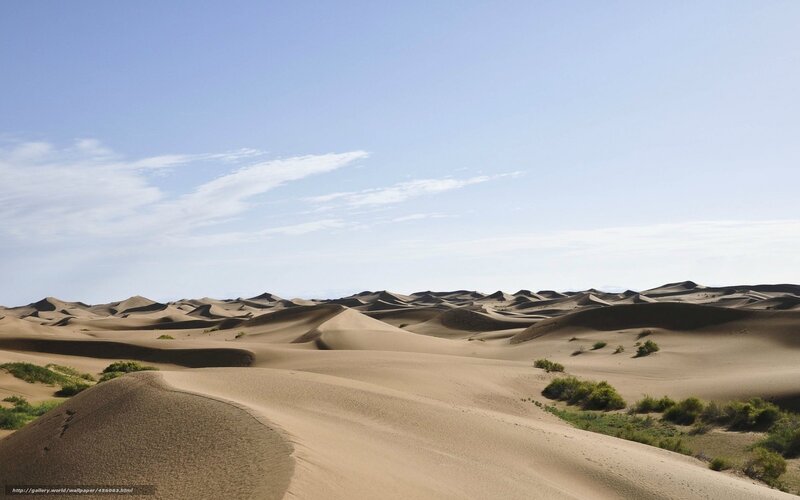 Sand Dunes in Desert — Beige, Serene, Afternoon, Photograph