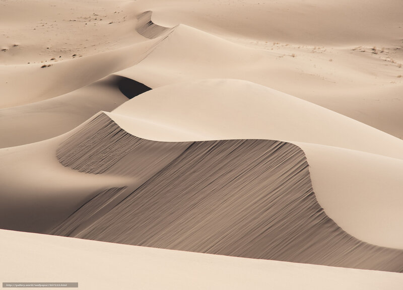Sand Dunes in Desert — Beige, Serene, Photograph