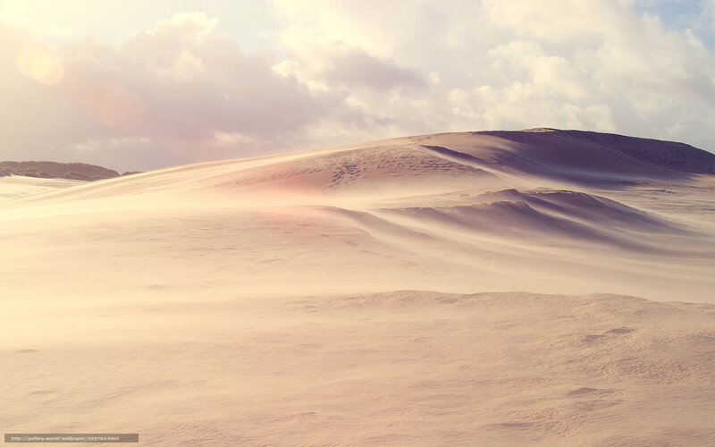 Sand Dunes in Desert — Beige, Serene, Sunrise, Photograph