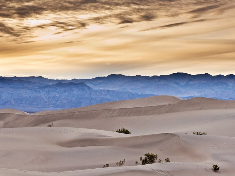 Sand Dunes in Desert — Beige, Serene, Sunset, Photograph, Mountains, Sky, Plants