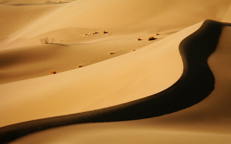 Sand Dunes in Desert — Beige, Serene, Sunset, Photograph, Shadows, Plants