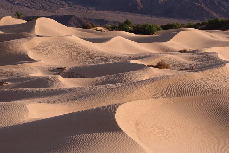 Sand Dunes in Desert — Beige, Serene, Sunset