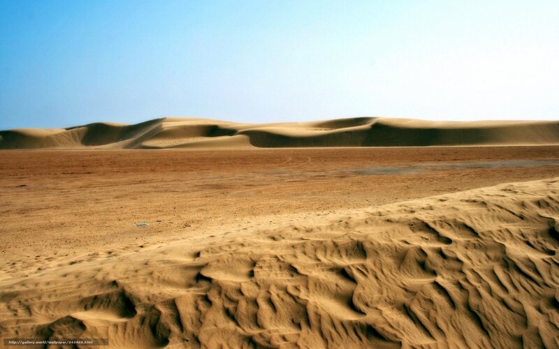 Sand Dunes in Desert — Brown, Arid, Afternoon