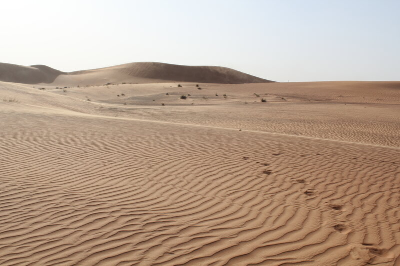 Sand Dunes in Desert — Brown, Arid