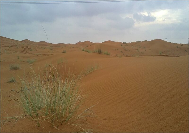 Sand Dunes in Desert — Brown, Desolate