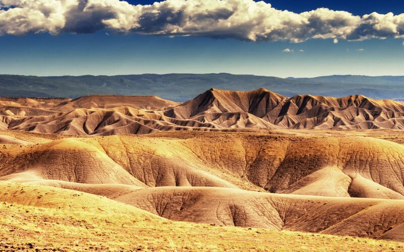 Sand Dunes in Desert — Brown, Dramatic, Afternoon, Photograph