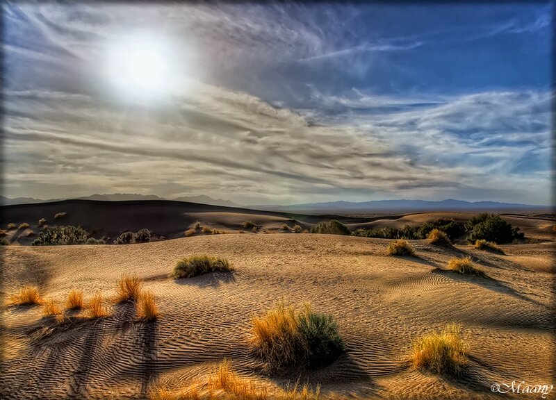 Sand Dunes in Desert — Brown, Dramatic, Afternoon