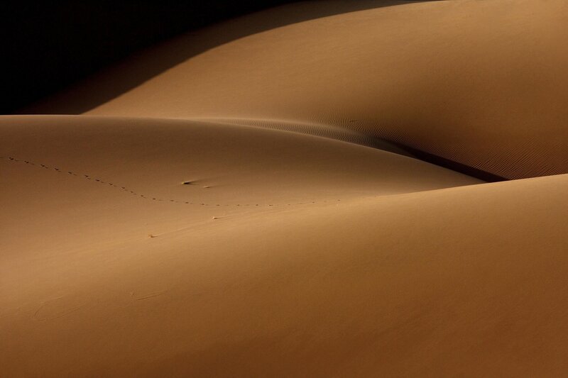Sand Dunes in Desert — Brown, Dramatic, Sunset, Photograph