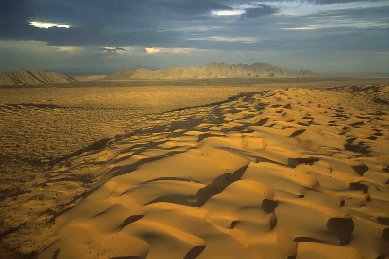 Sand Dunes in Desert — Brown, Dramatic